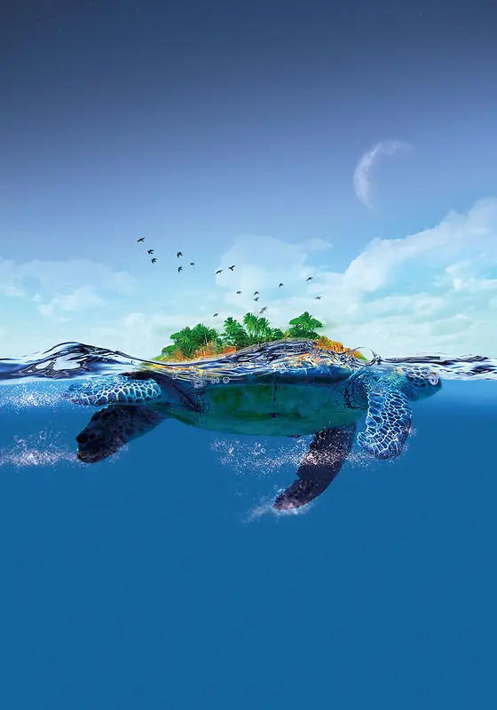 海洋中的乌龟背景素材