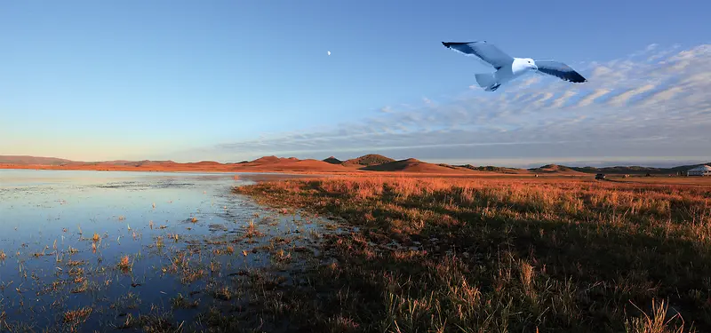 红海滩海欧背景