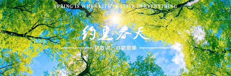 春天主题的网站banner