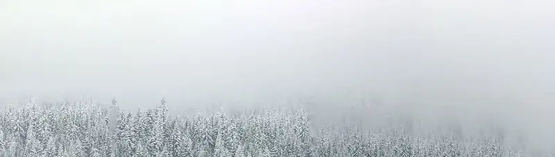 雪景雾景淘宝背景