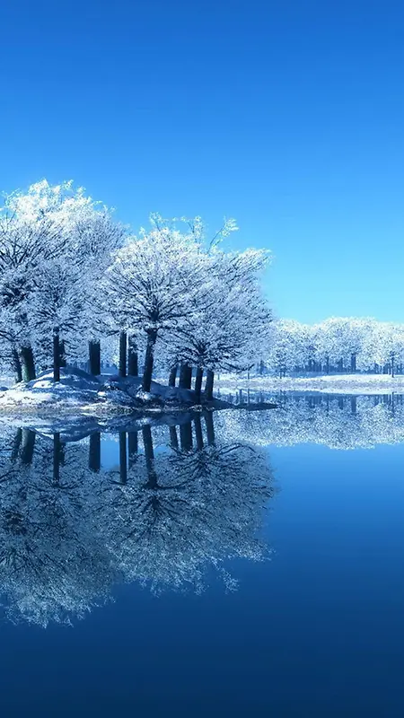 蓝天白雪