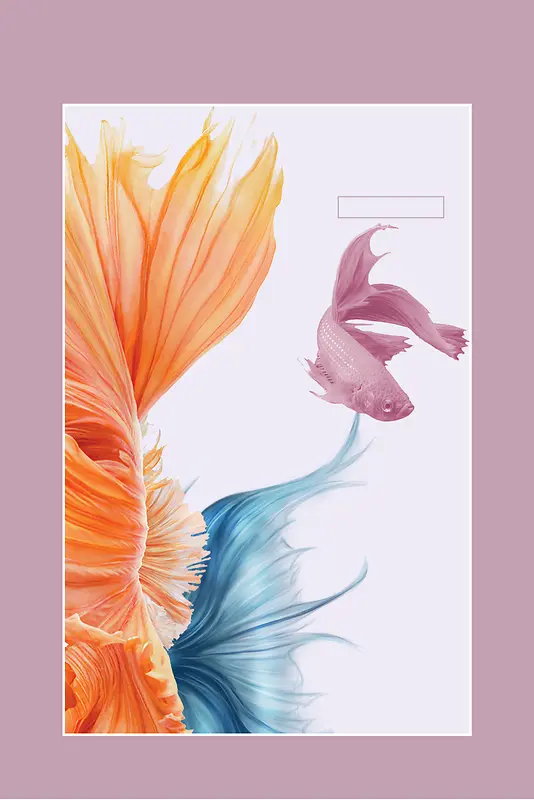 金鱼花卉摄影展览简约边框平面广告