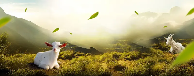 淘宝山顶风景banner背景