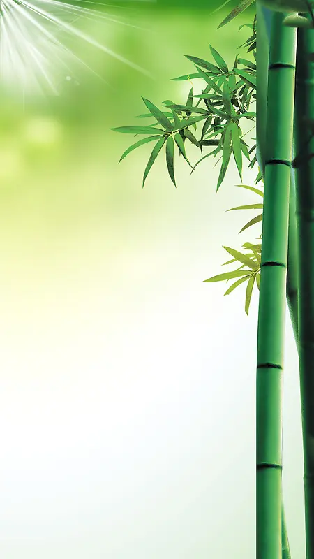 绿色清新竹子阳光H5背景素材