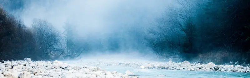 简约大气蓝色森林banner背景