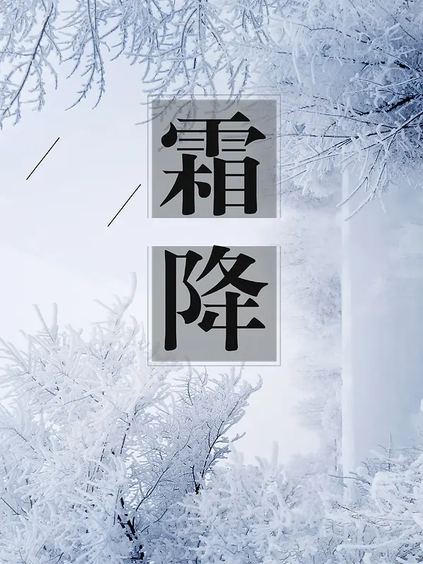 霜降中国传统节气海报背景psd