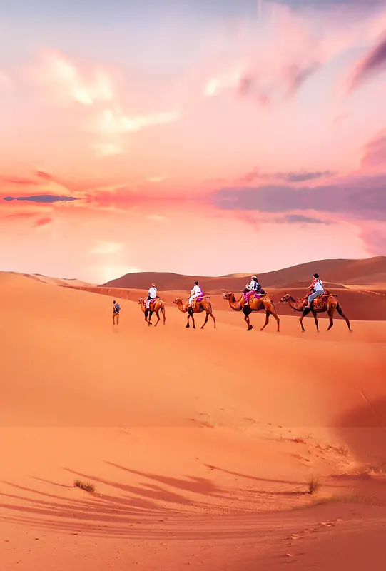 一带一路沙漠驼队风景