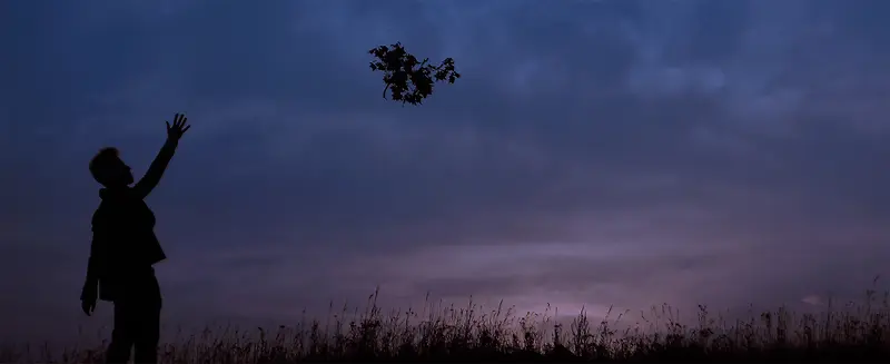 夜晚渐变蓝紫色剪影背景