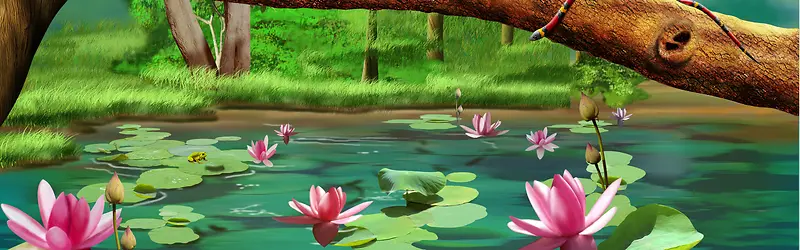 荷花塘海报背景图