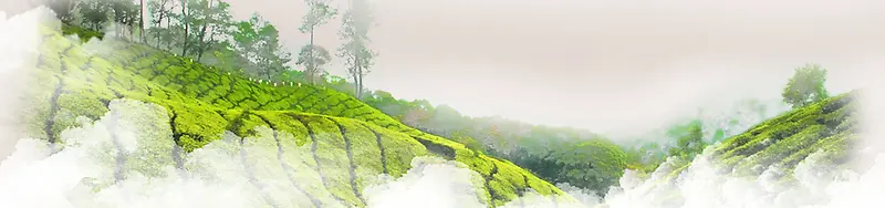 清明节春季踏青banner