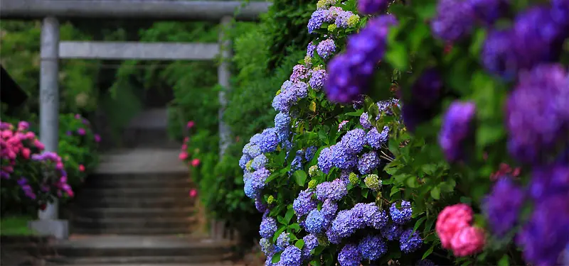 花团清新文艺背景