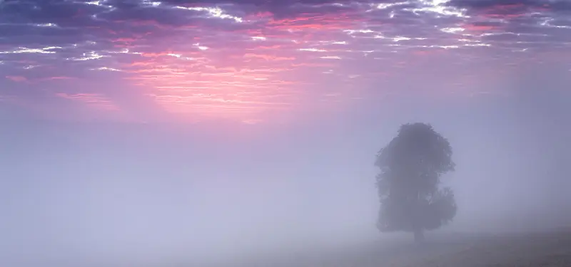 晚霞迷雾树木朦胧风景
