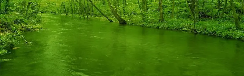 绿色河流背景