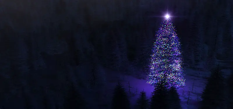紫色圣诞树背景