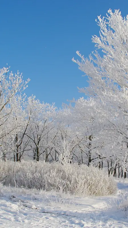 冰天雪地手机美景H5背景