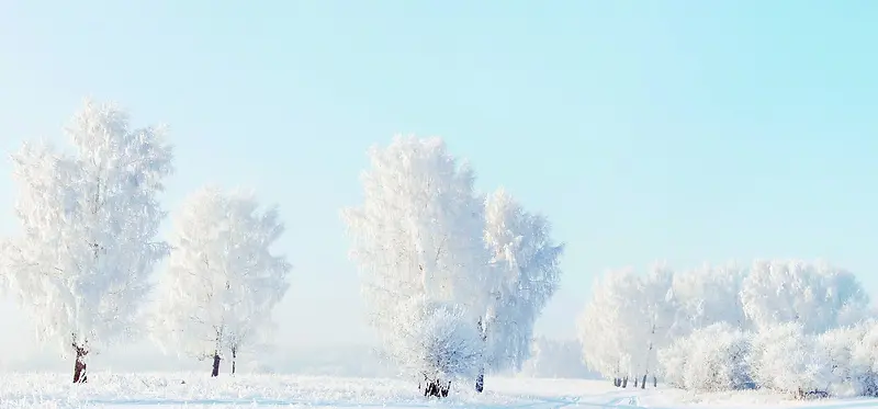 冬季雪景蓝天白云雾凇背景图