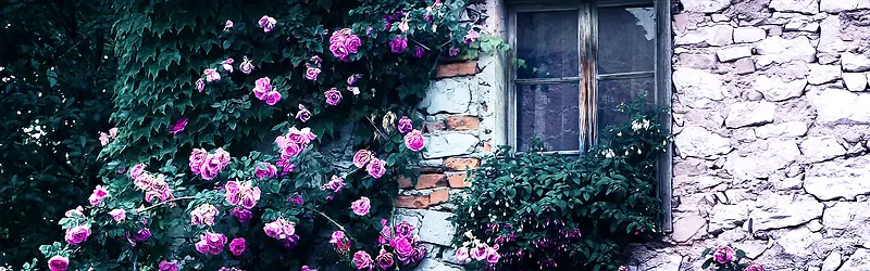 复古墙面花卉背景
