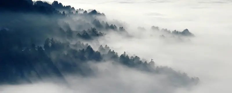 风景背景图
