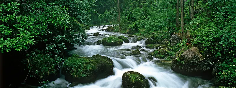 森林流水