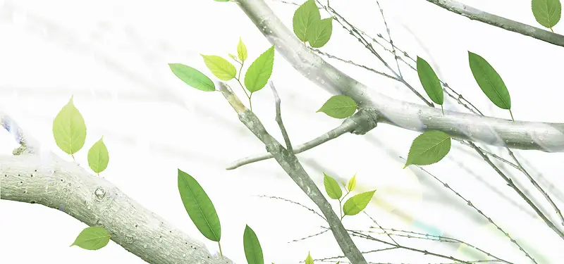 日系文艺清新淡色树枝绿叶背景