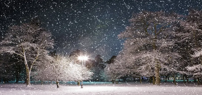 夜晚公园雪景