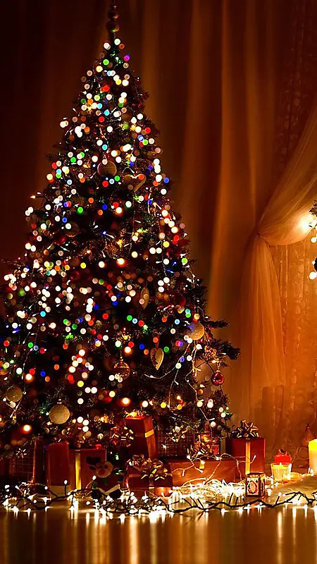 千库网-圣诞节摄影圣诞树灯光黑色H5背景