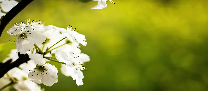 淘宝背景图