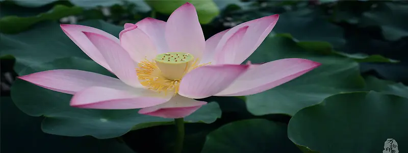 淘宝banner
