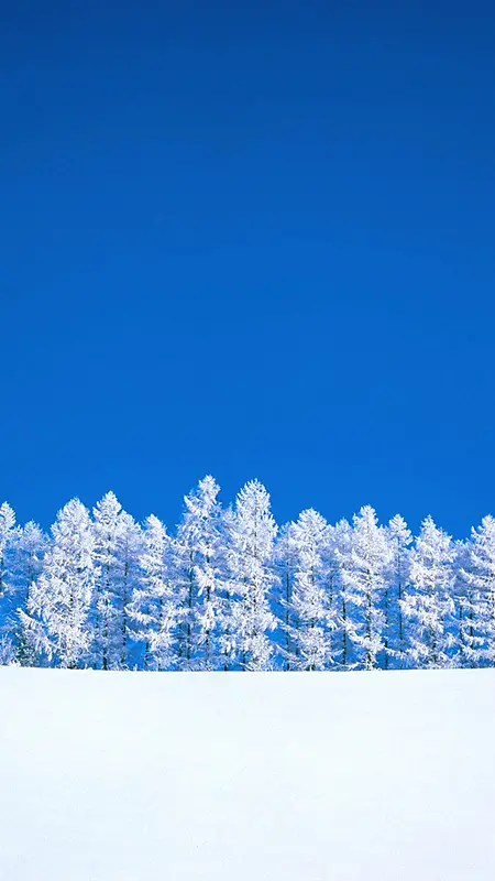 蓝天雪景H5背景