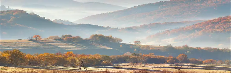 金秋枫叶山脉森林大地