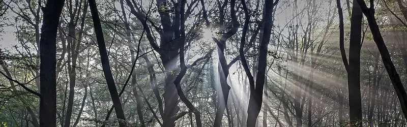 摄影背景