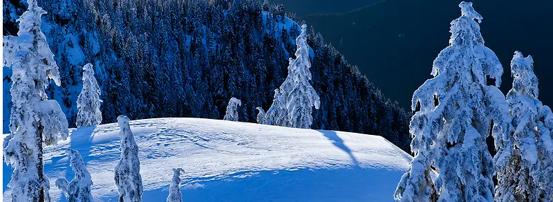 雪景背景