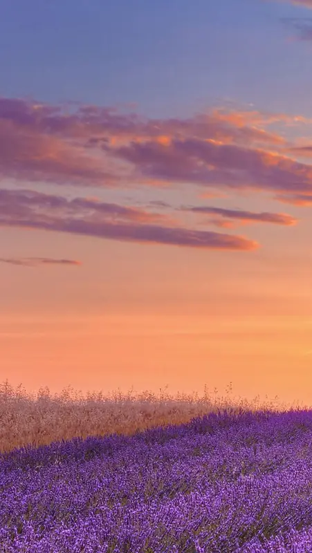 风景蓝天红云紫花H5背景素材