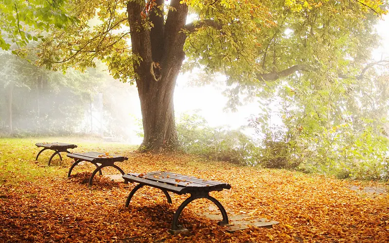 公园一角深秋背景素材