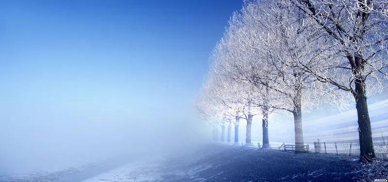 森林雪景唯美背景图