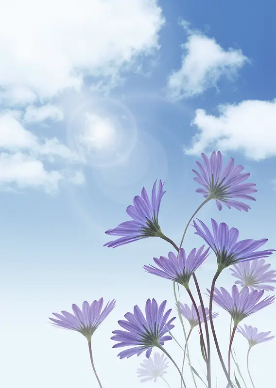 蓝色的天空紫色的小花