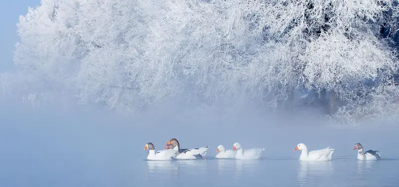 冬湖