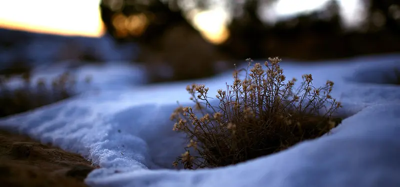 雪景夜景背景