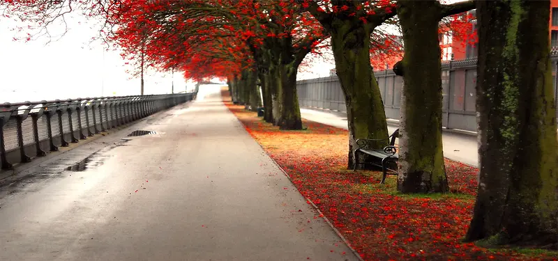 道路背景图