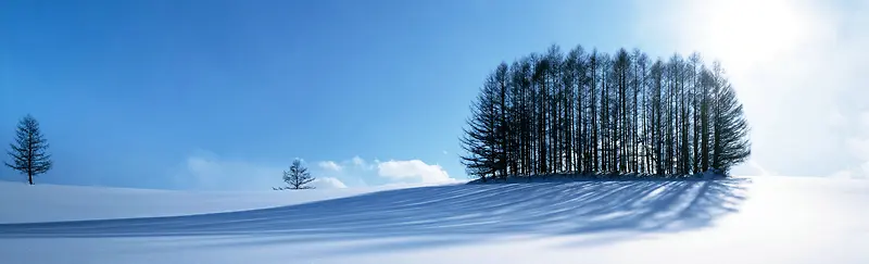 雪原背景