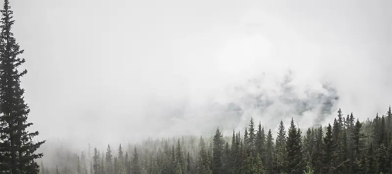 黑白简约自然风光背景