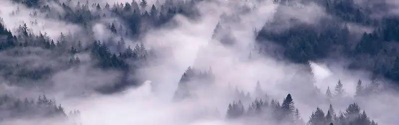 大雾的深山