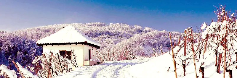 冬日雪地房屋背景