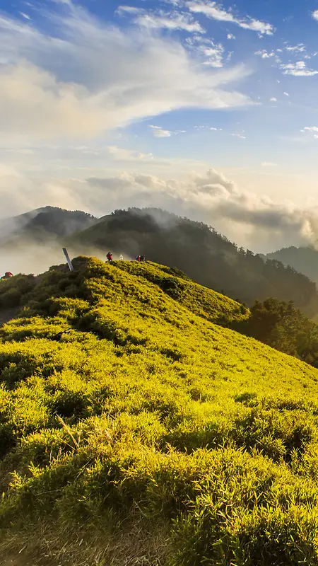 秋天唯美H5背景