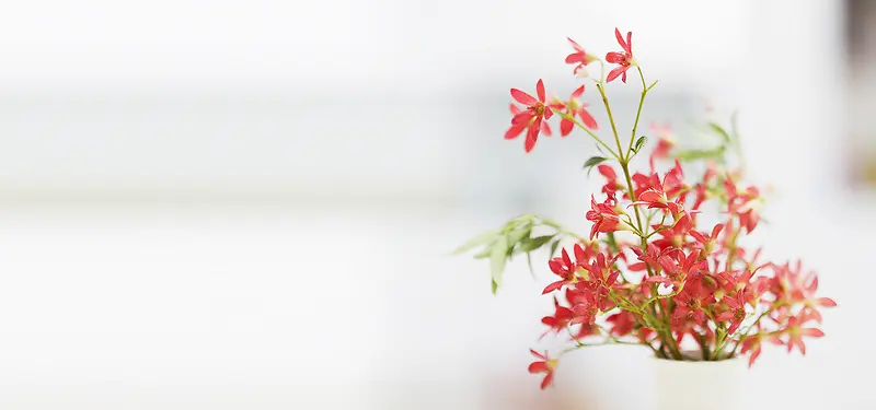 日系清新文艺阳光家居女装插花花瓶淘宝背景