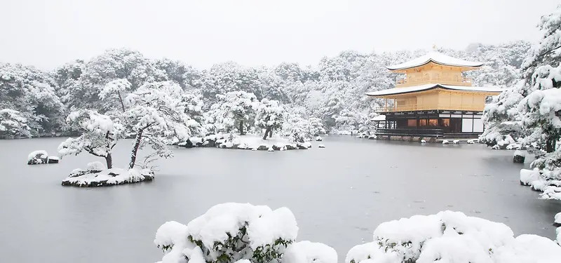 摄影背景