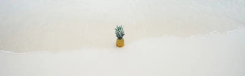 摄影海滩上的菠萝背景