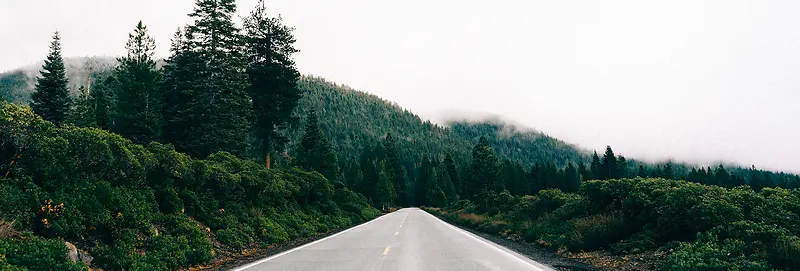 天空丛林小路背景