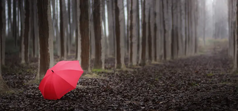 日系清新文艺淡色红色雨伞森林背景