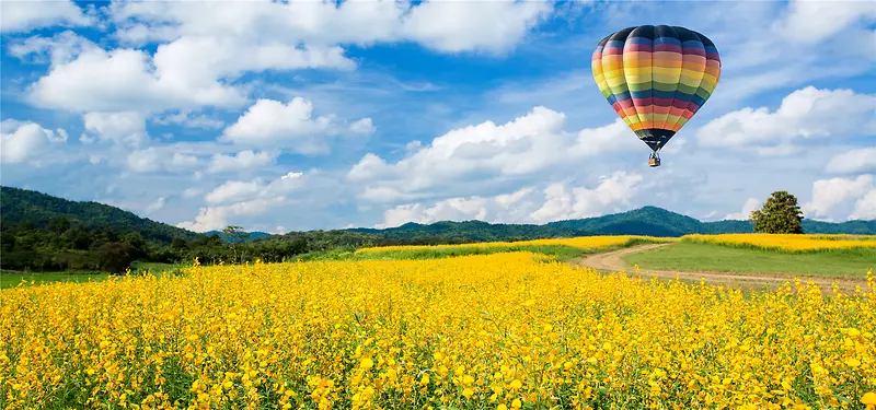 黄色花海升空气球海报